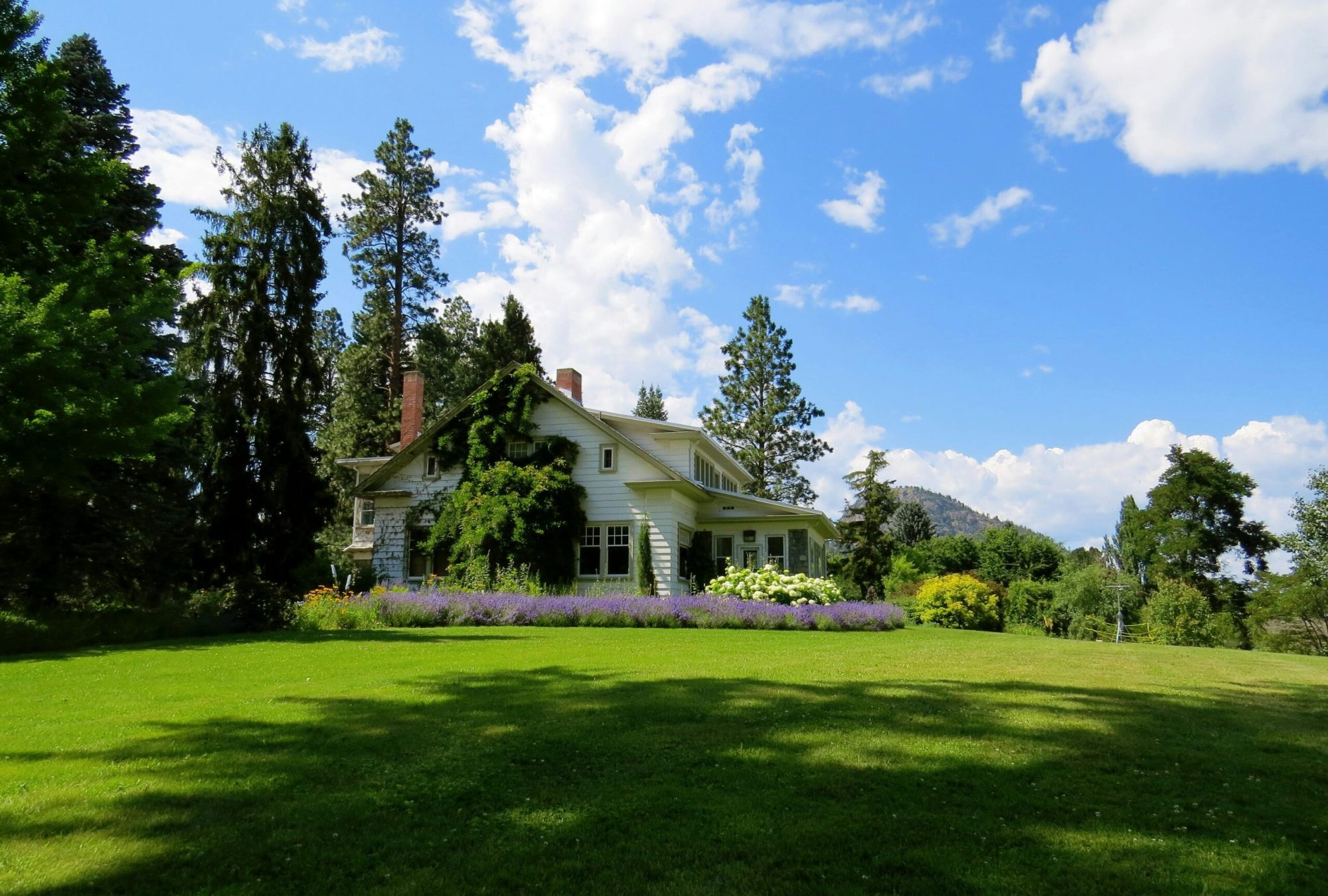 pexels-dianne-60973-226407